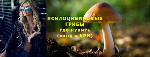 ALPHA-PVP Аркадак