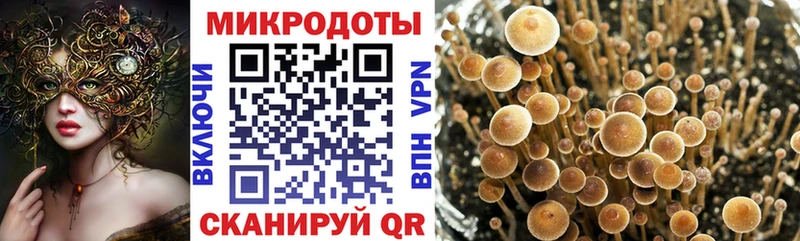 Галлюциногенные грибы мухоморы Майский
